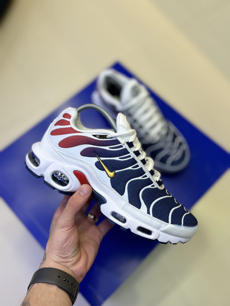 NK Air Max TN