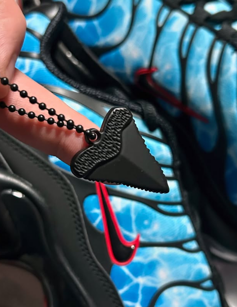 NK Air Max TN
