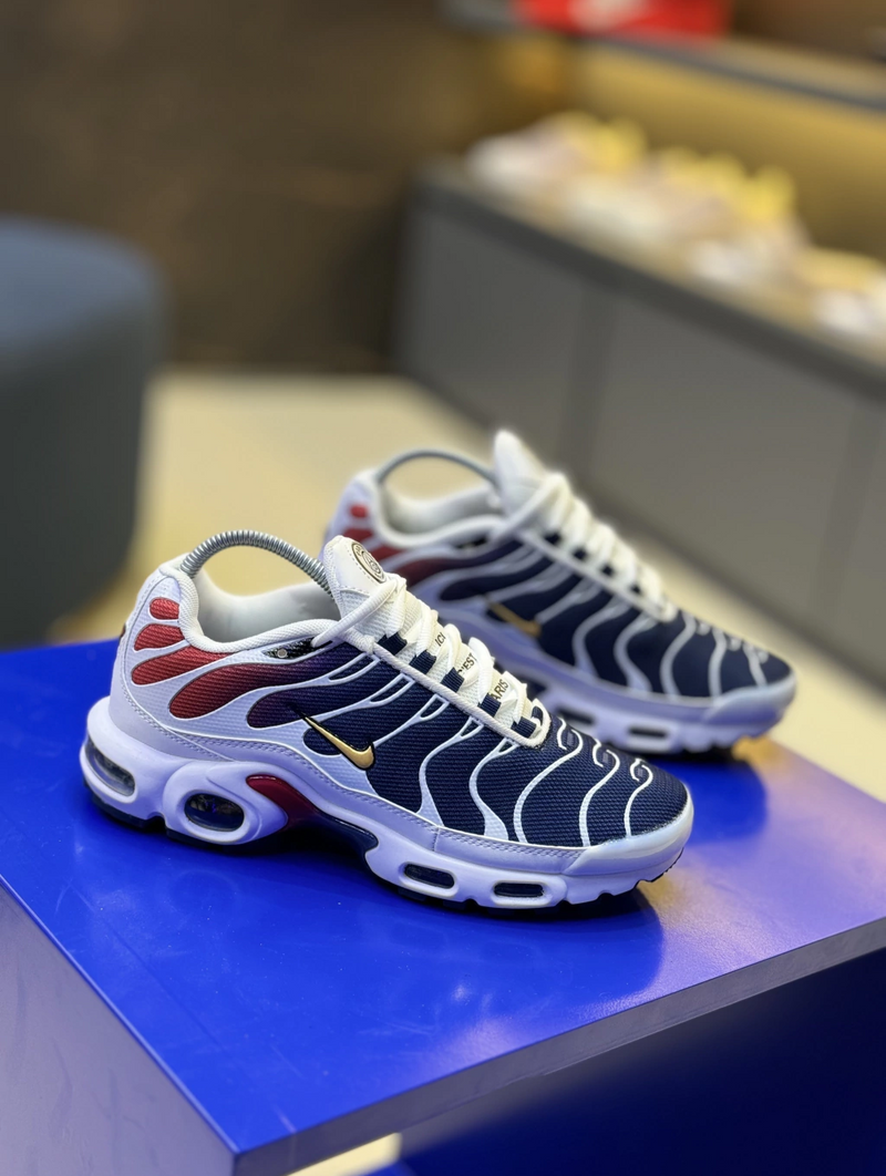 NK Air Max TN