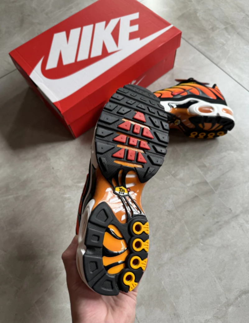 NK Air Max TN
