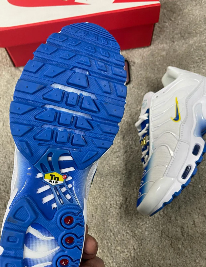 NK Air Max TN