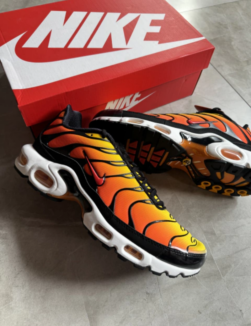 NK Air Max TN