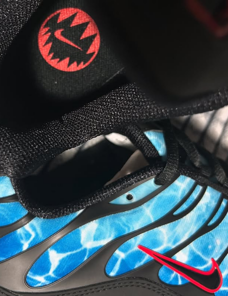 NK Air Max TN