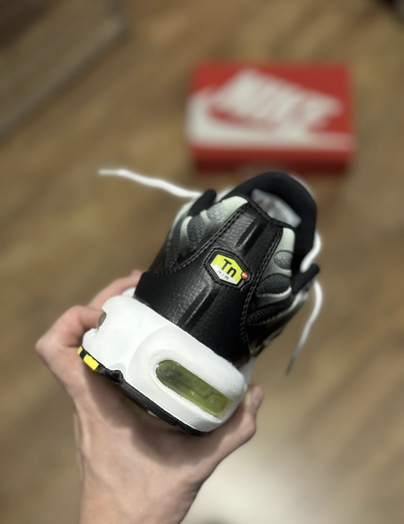 NK Air Max TN