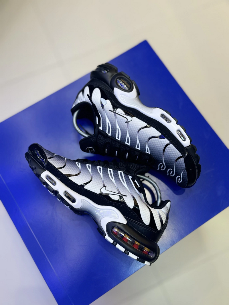 NK Air Max TN