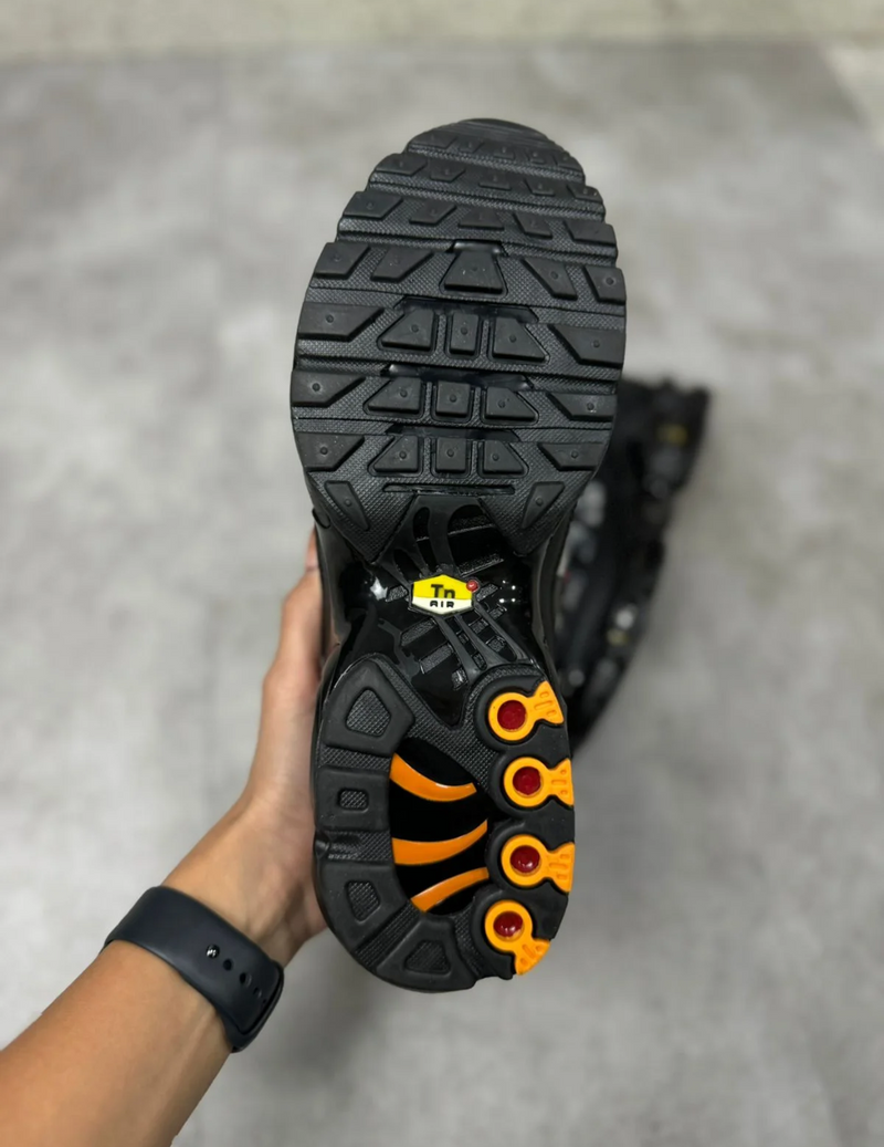 NK Air Max TN