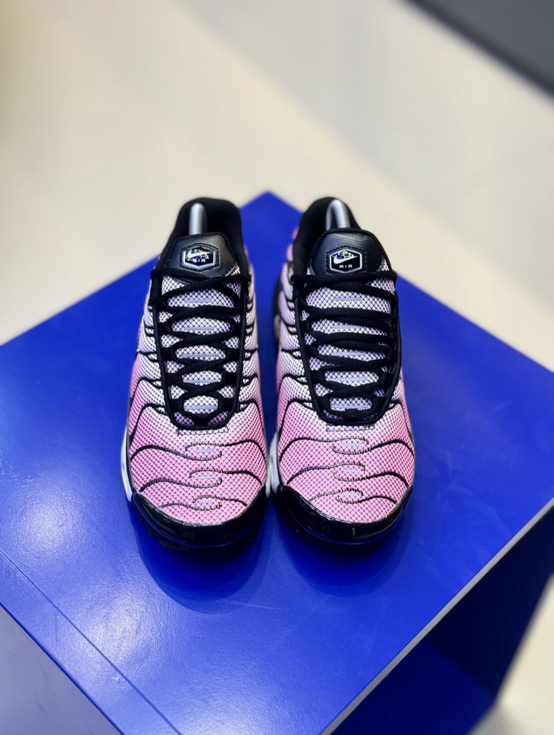 NK Air Max TN