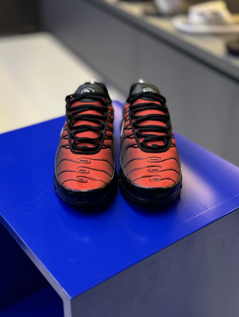 NK Air Max TN