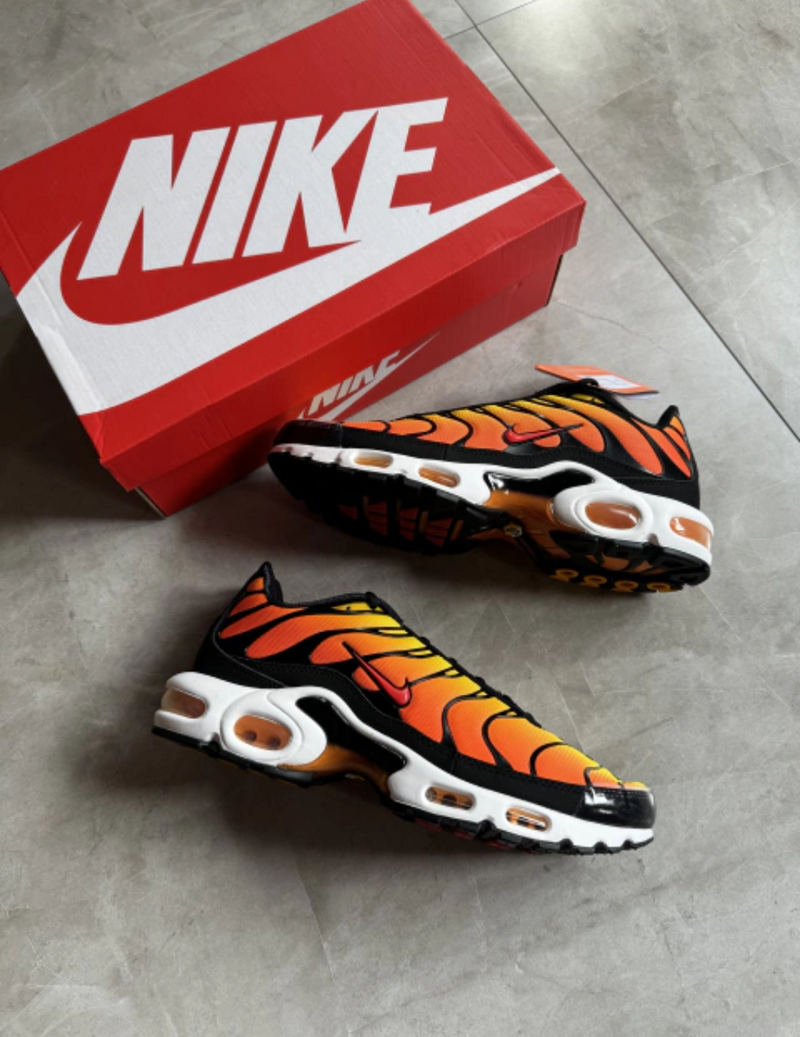 NK Air Max TN