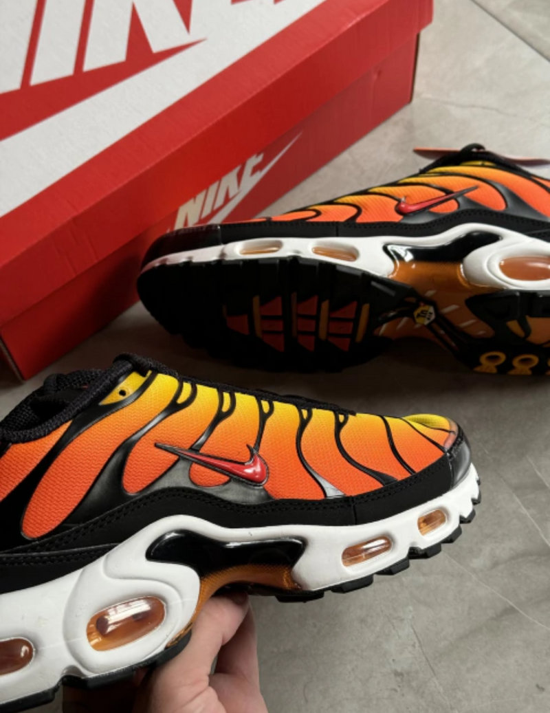 NK Air Max TN