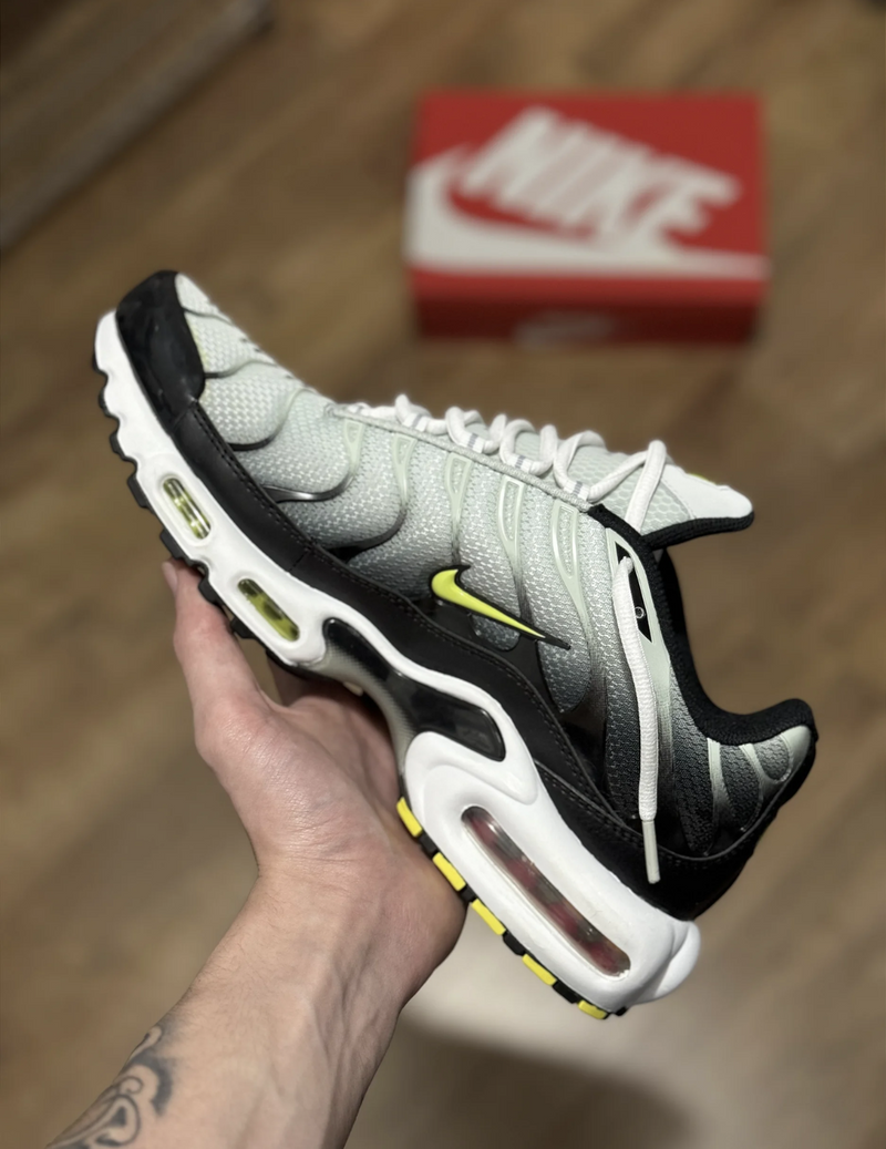 NK Air Max TN