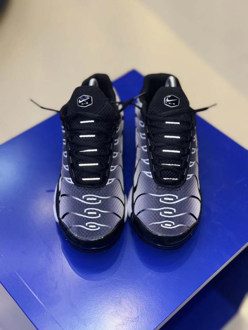 NK Air Max TN