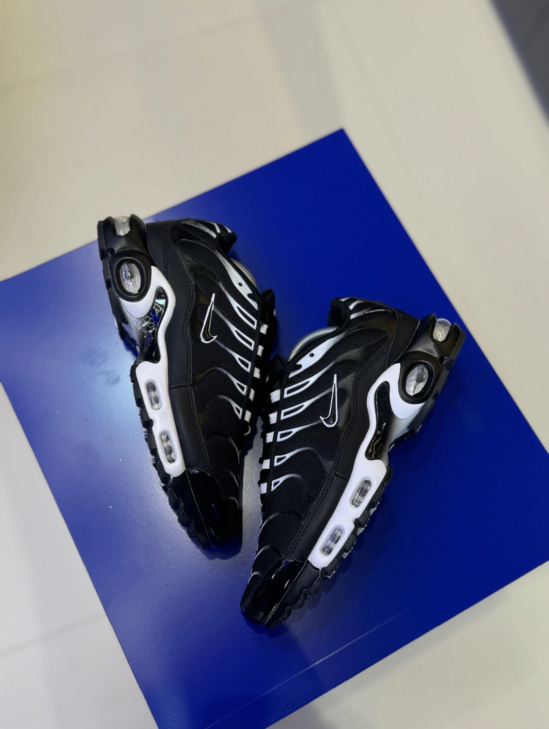NK Air Max TN