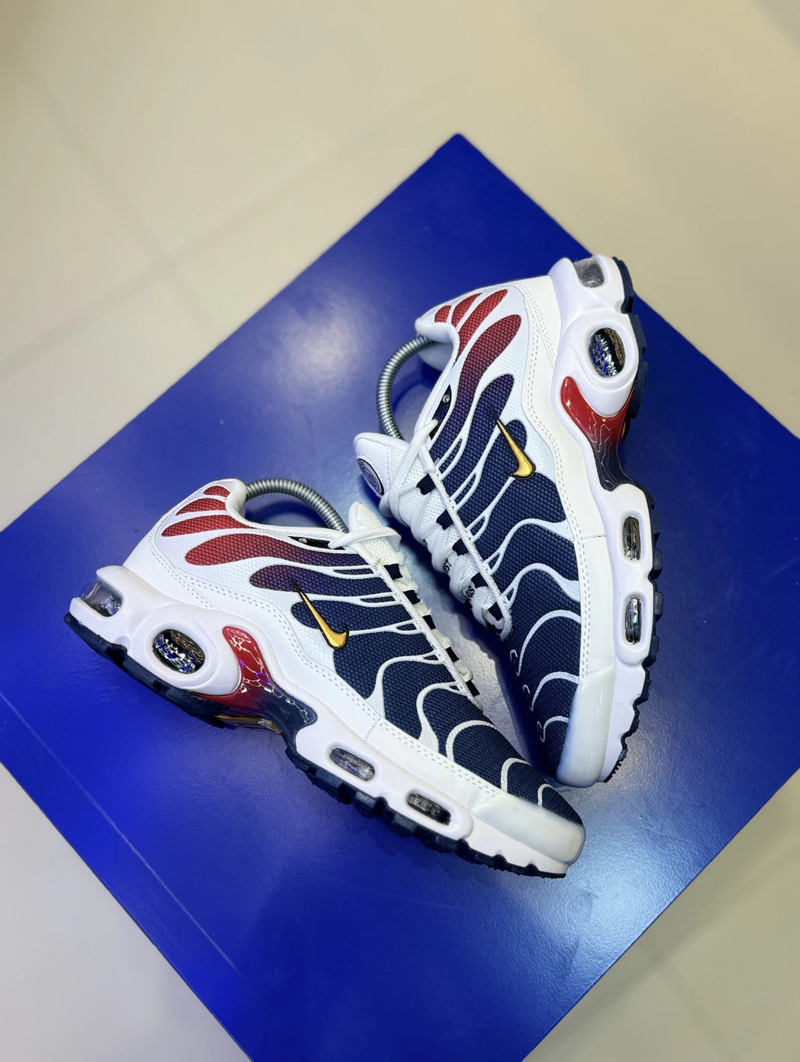 NK Air Max TN