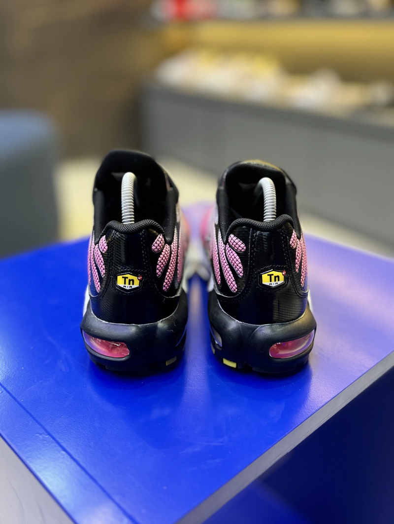 NK Air Max TN