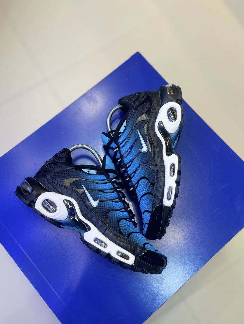 NK Air Max TN