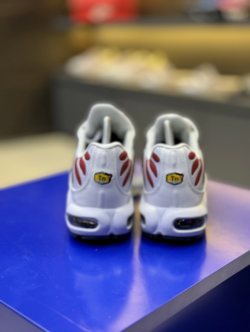 NK Air Max TN