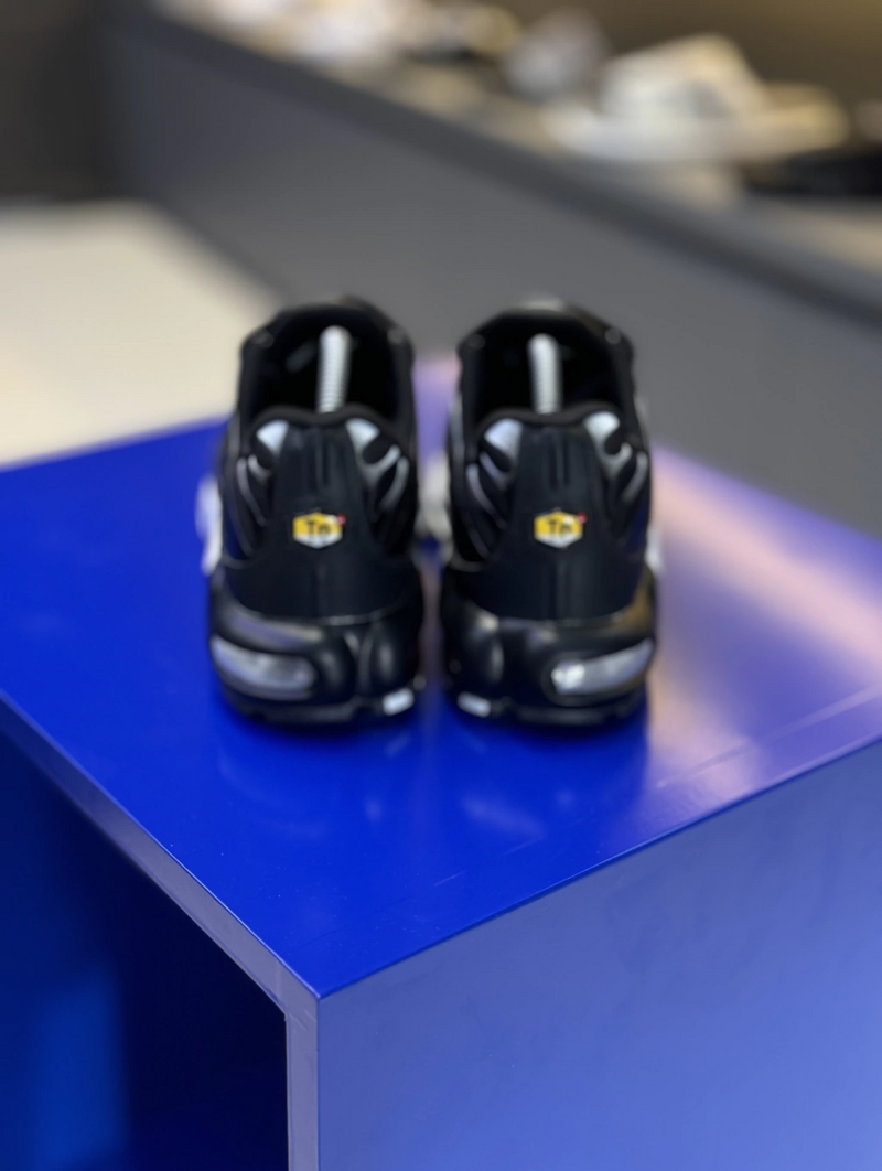 NK Air Max TN