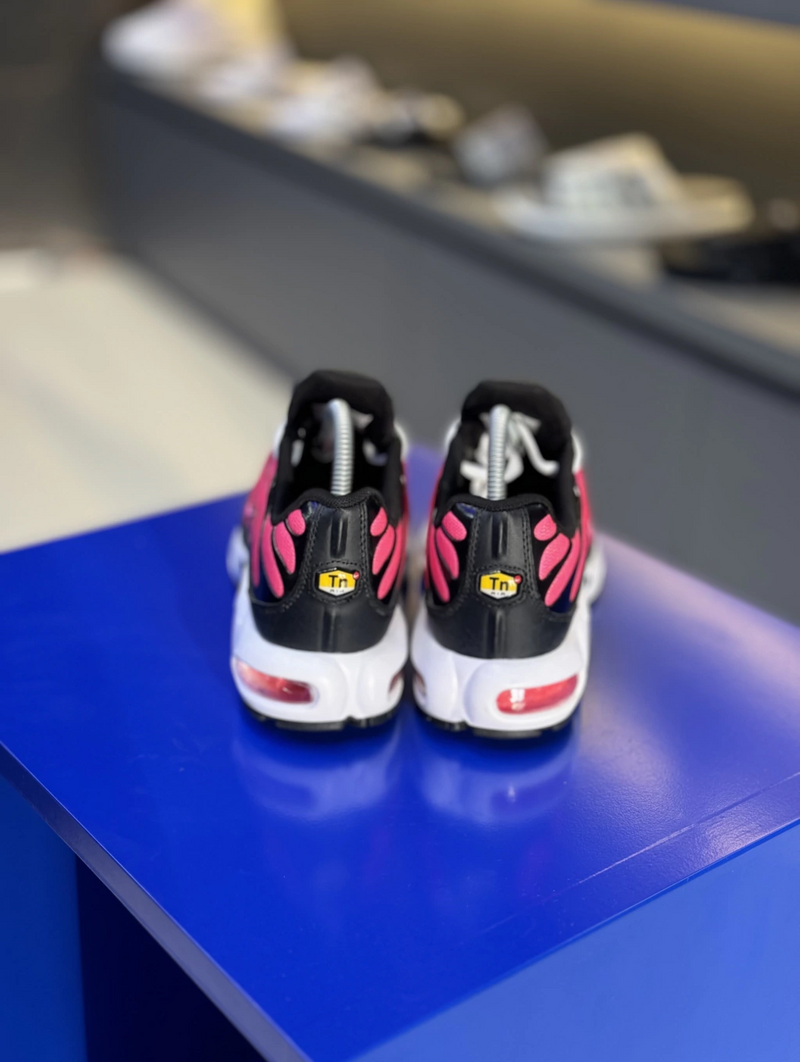 NK Air Max TN